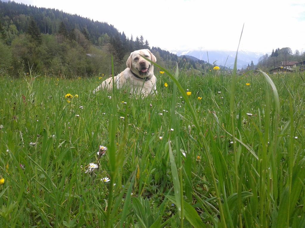 Appartement Haus Pichler Leogang Rom bilde