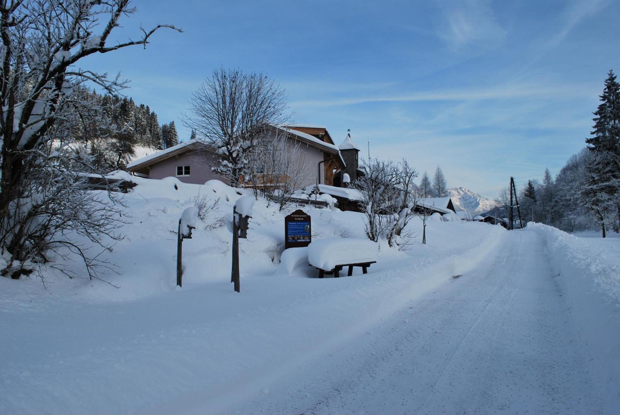 Appartement Haus Pichler Leogang Eksteriør bilde