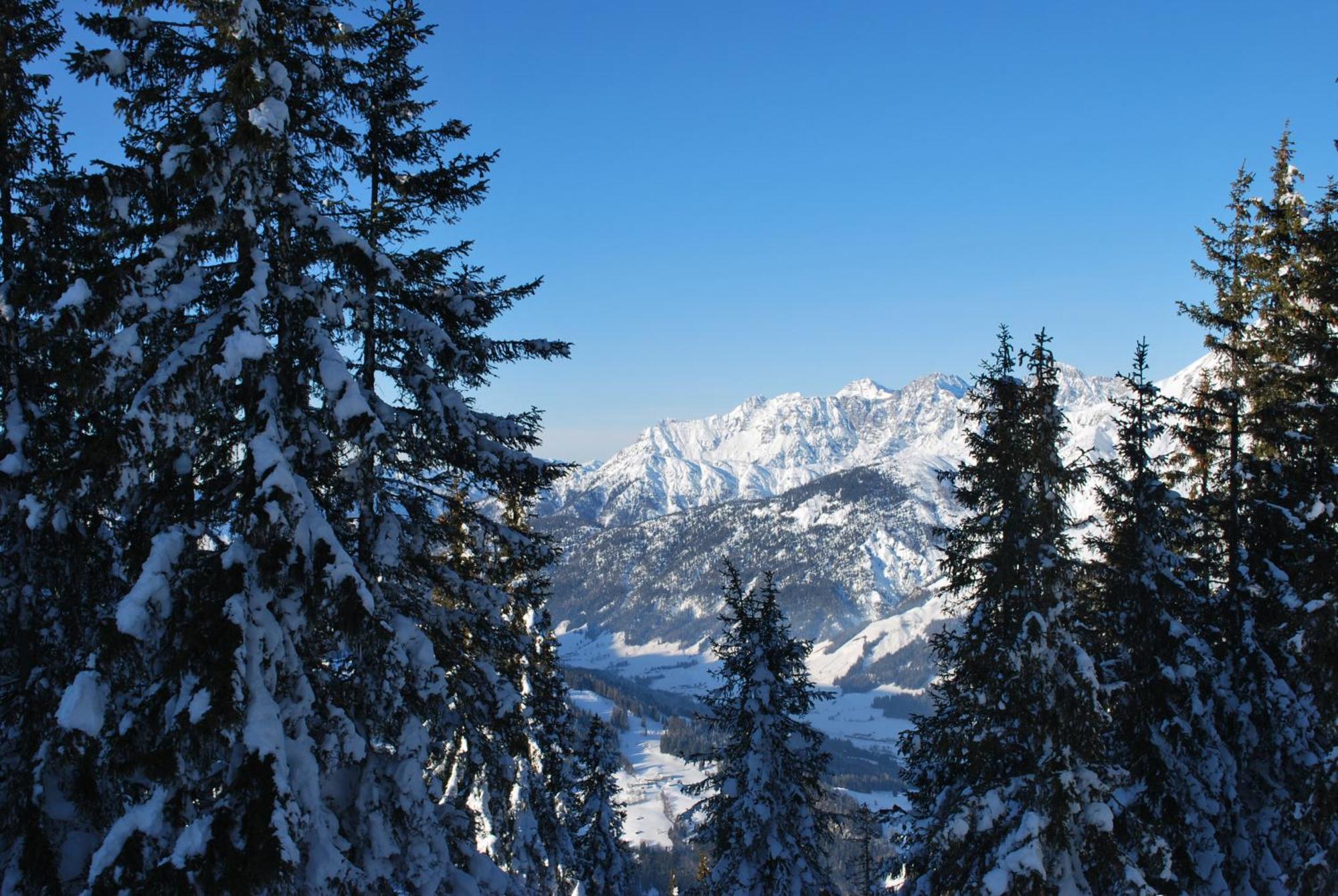 Appartement Haus Pichler Leogang Eksteriør bilde