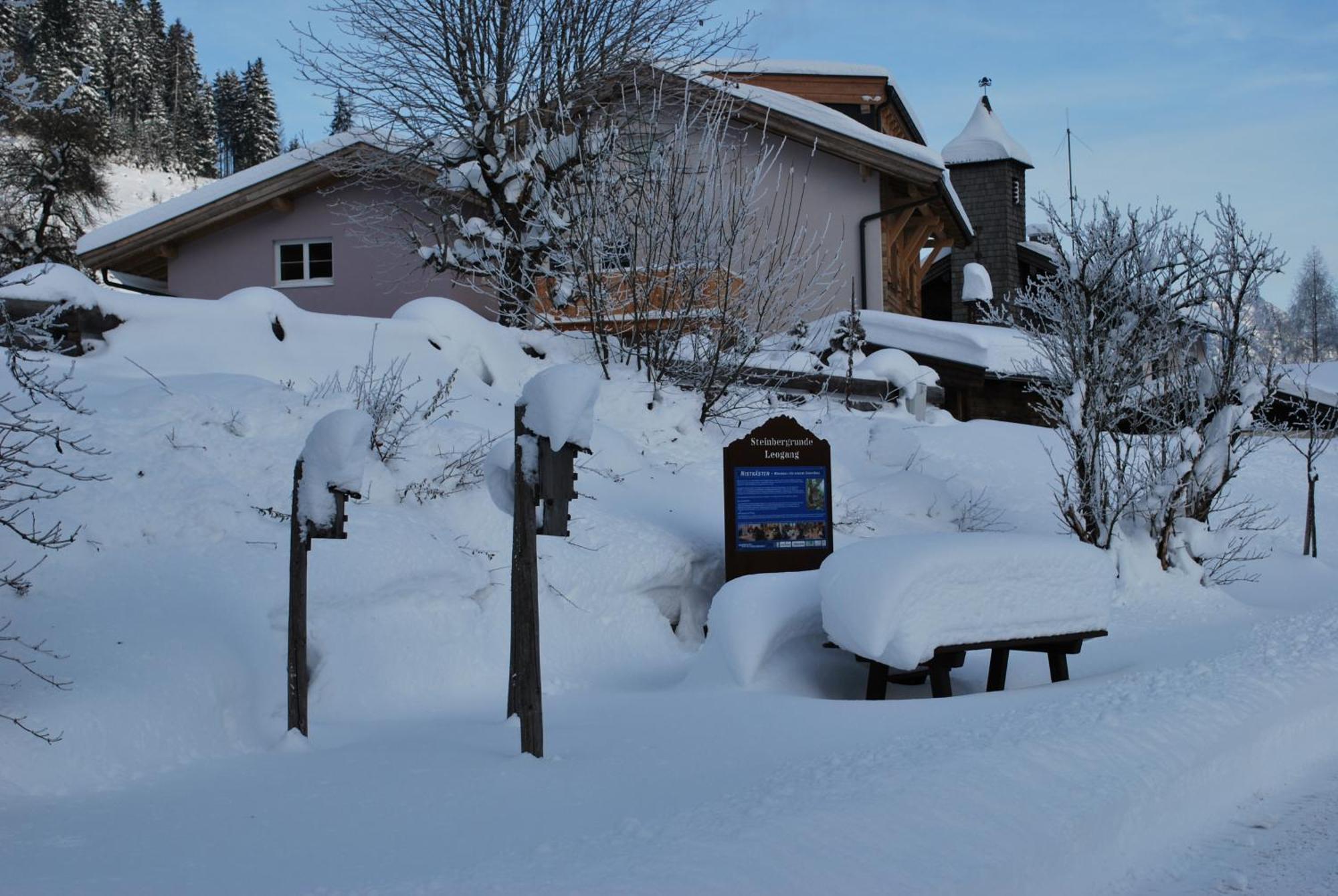 Appartement Haus Pichler Leogang Eksteriør bilde