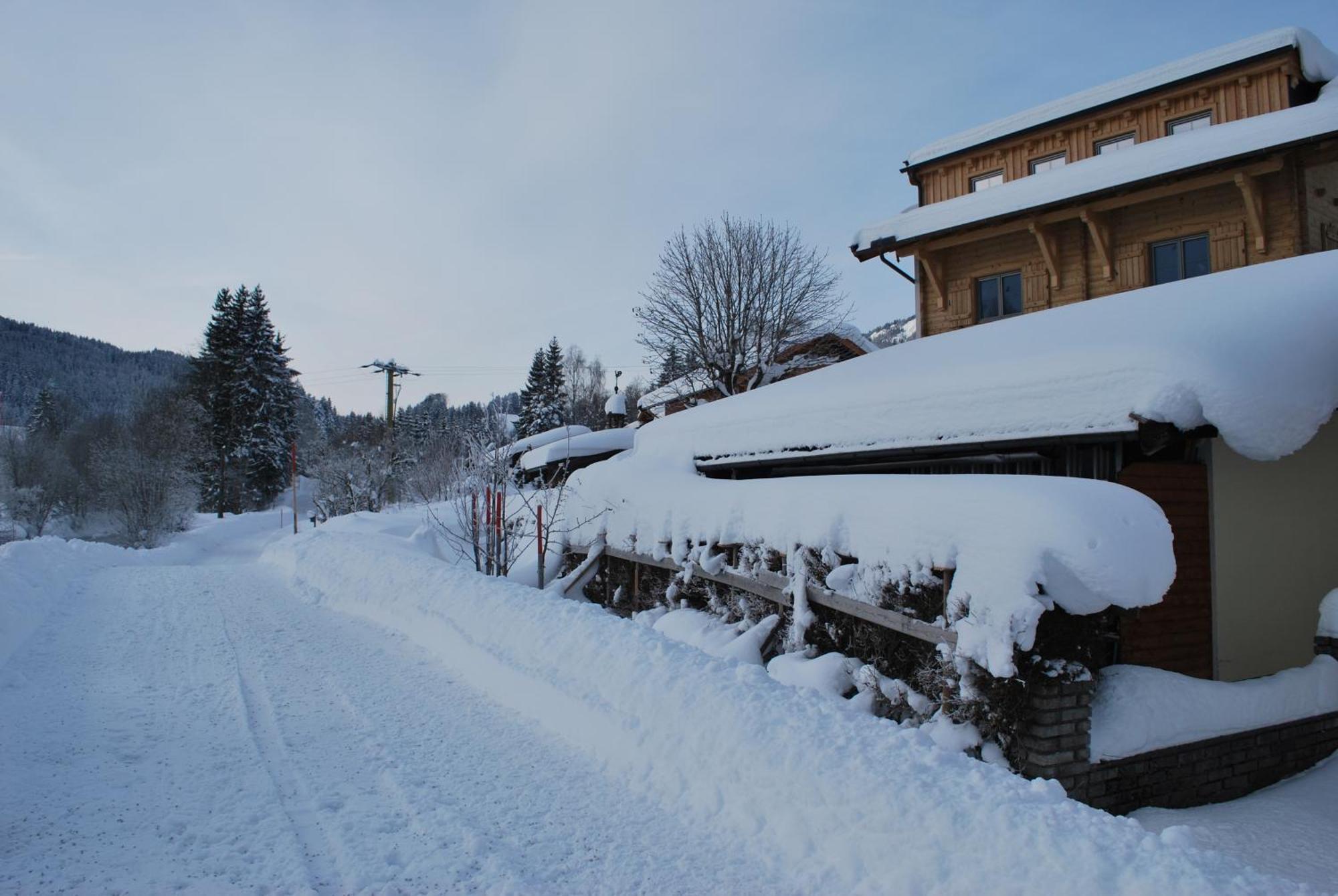 Appartement Haus Pichler Leogang Eksteriør bilde