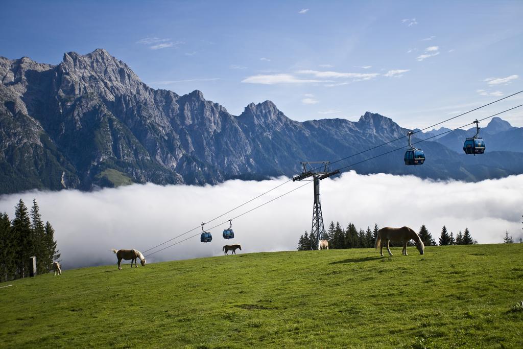 Appartement Haus Pichler Leogang Eksteriør bilde
